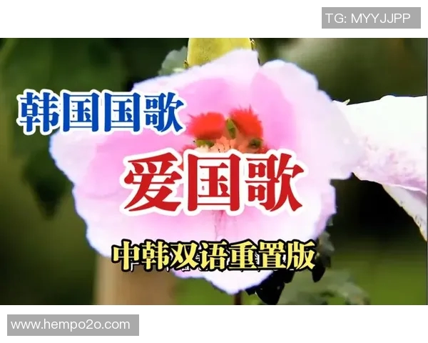 韩国国歌视频欣赏与解读感受爱国情怀的旋律与力量