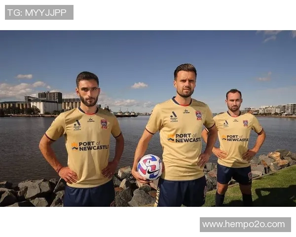 纽卡斯尔主场迎战布莱克全力争胜展现球队实力与斗志